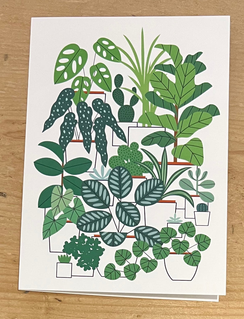 Houseplants