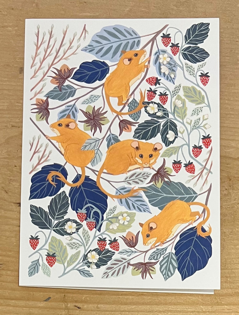 Hazel Dormice