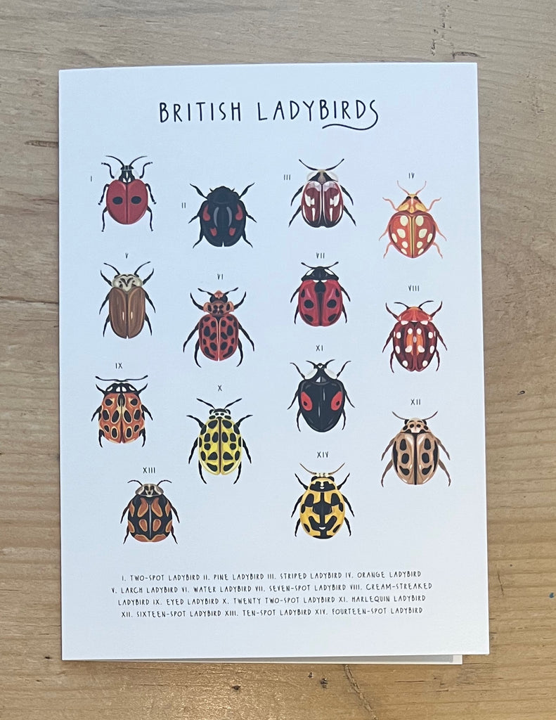 British Ladybirds