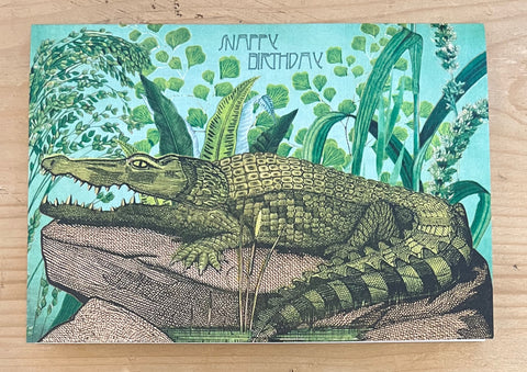 Crocodile