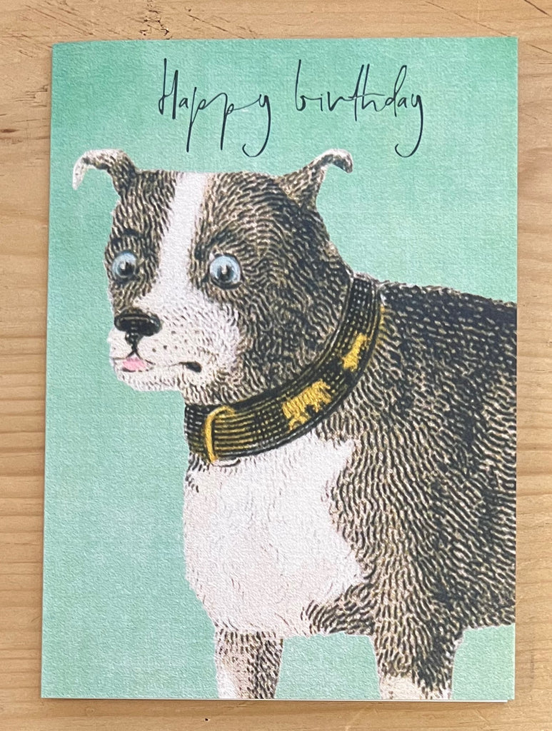 Woof Woof