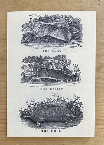 Hare Rabbit Mole