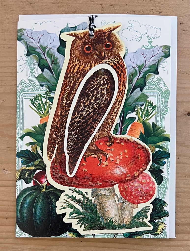 Brown Owl