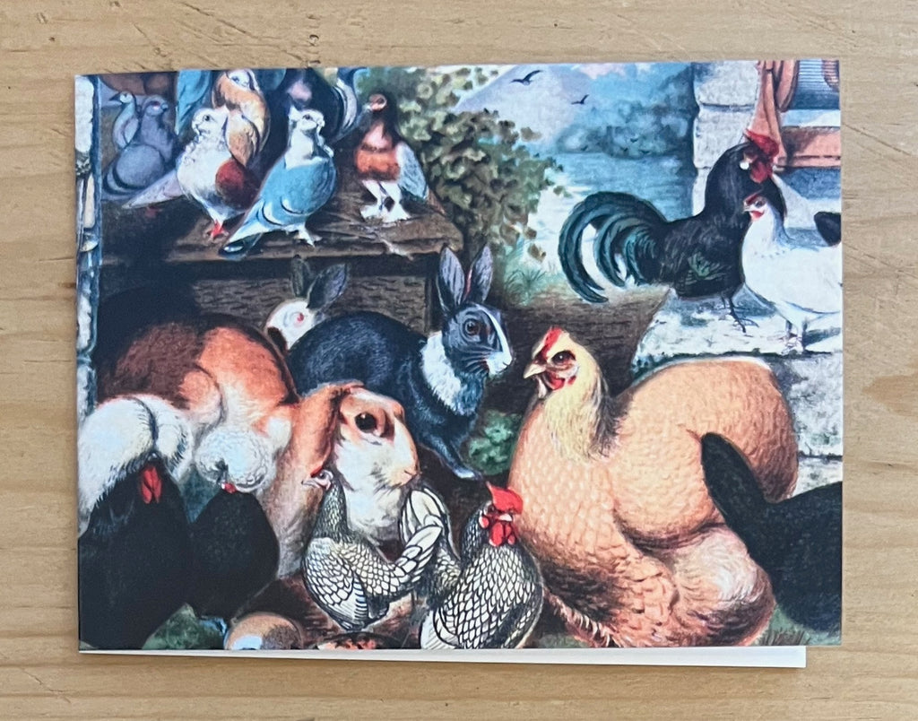 Rabbits Pigeons & Hens