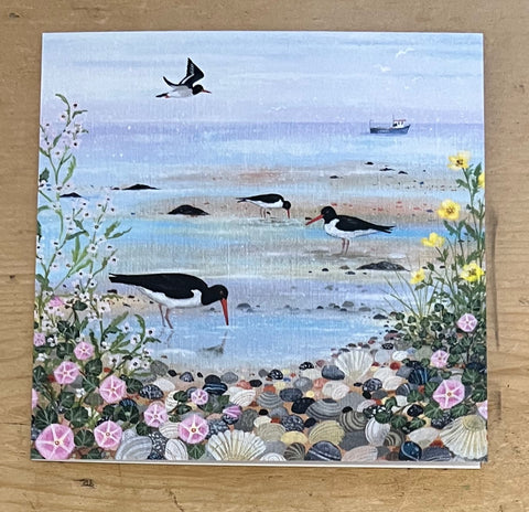 Oystercatchers
