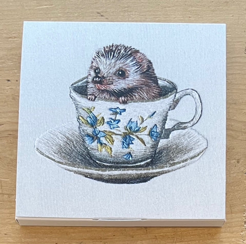 Hedgehog - 8 Notecards