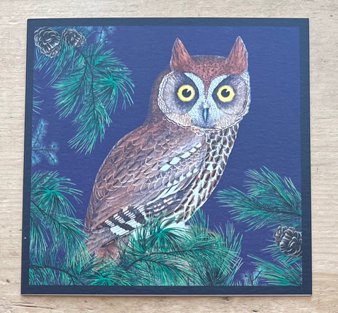 Red Owl