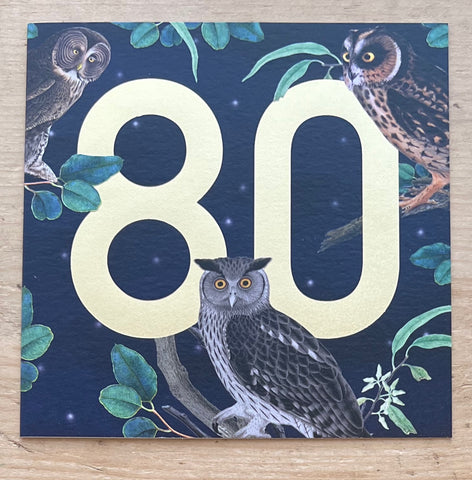 80 - Owls