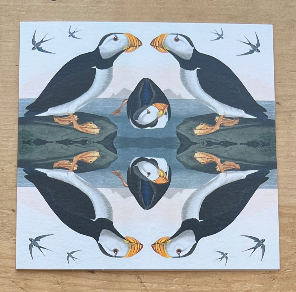 Horned Puffin