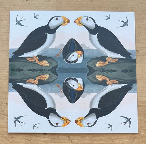 Horned Puffin