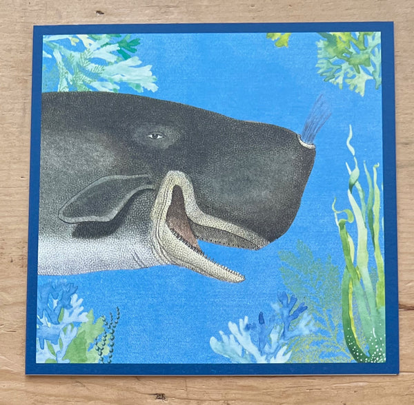 Whales