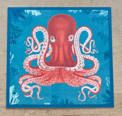 Octopus