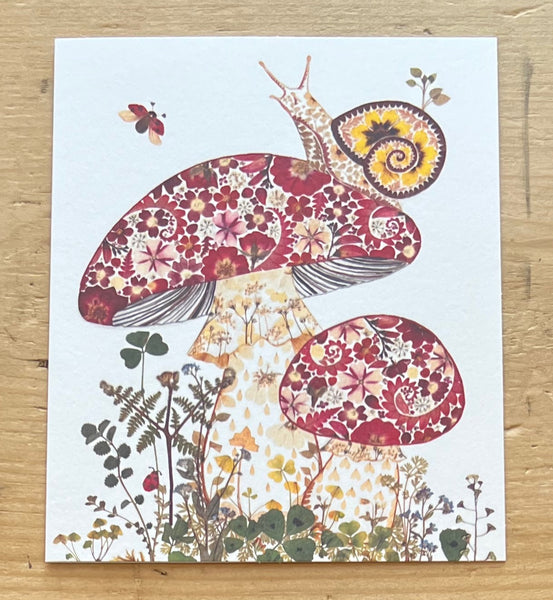 Toadstools &amp; Fungi