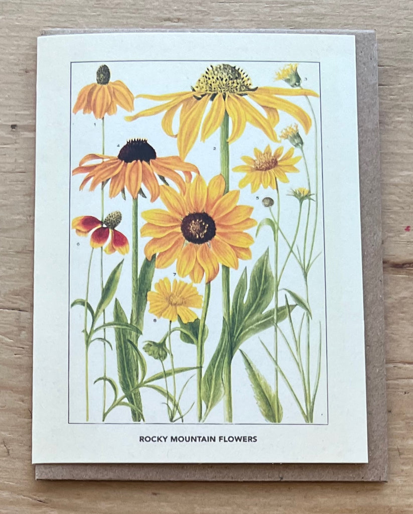 Rocky Mountain Flowers