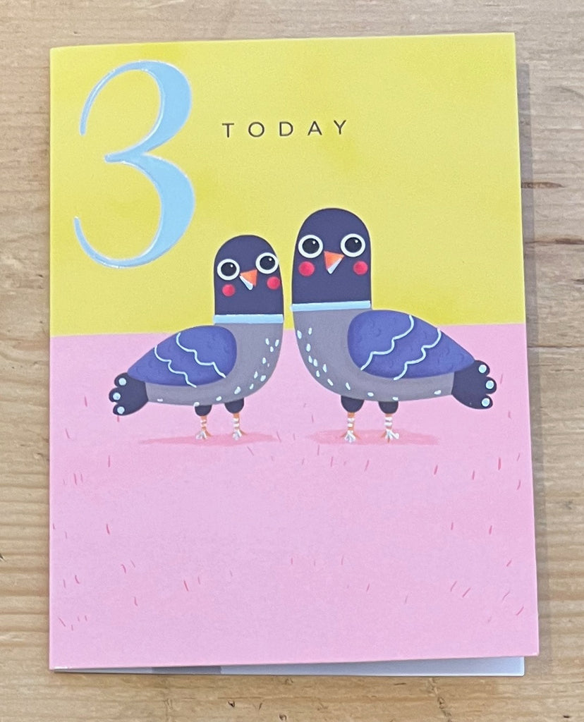 3 Today - Pigeons