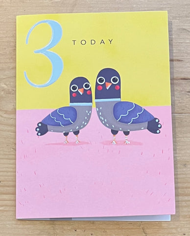 3 Today - Pigeons