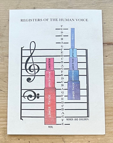 Human Voice