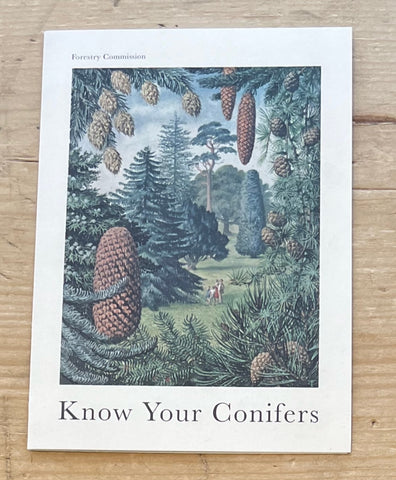 Know your Conifers