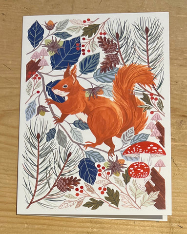 Red Squirrel