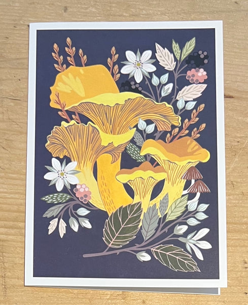 Toadstools &amp; Fungi