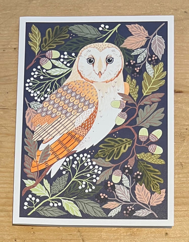 Barn Owl