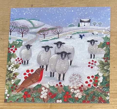 Sheep and Robin