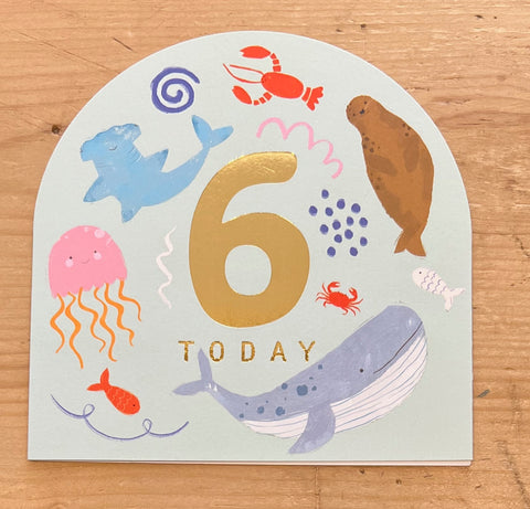 6 - Under the Sea