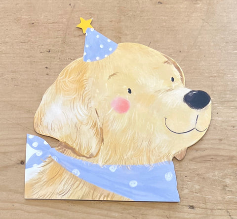 Retriever Puppy