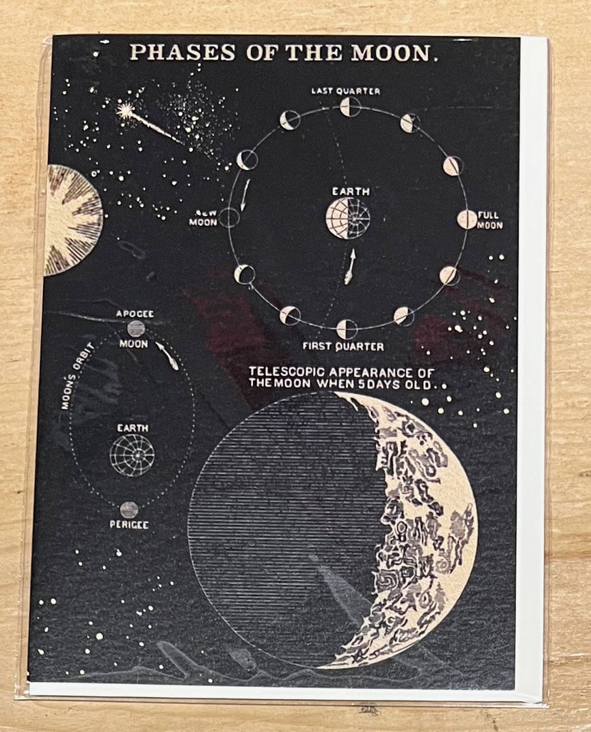 Phases of the Moon