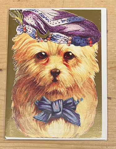 Lord Fluffy