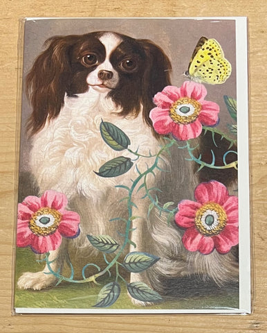 Dog Rose