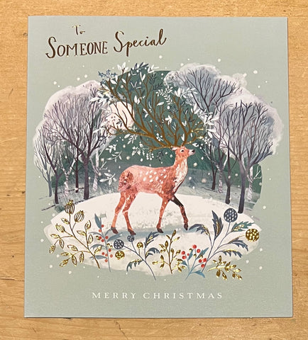 Someone Special