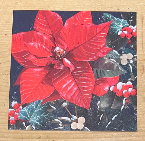 Bright Poinsettia