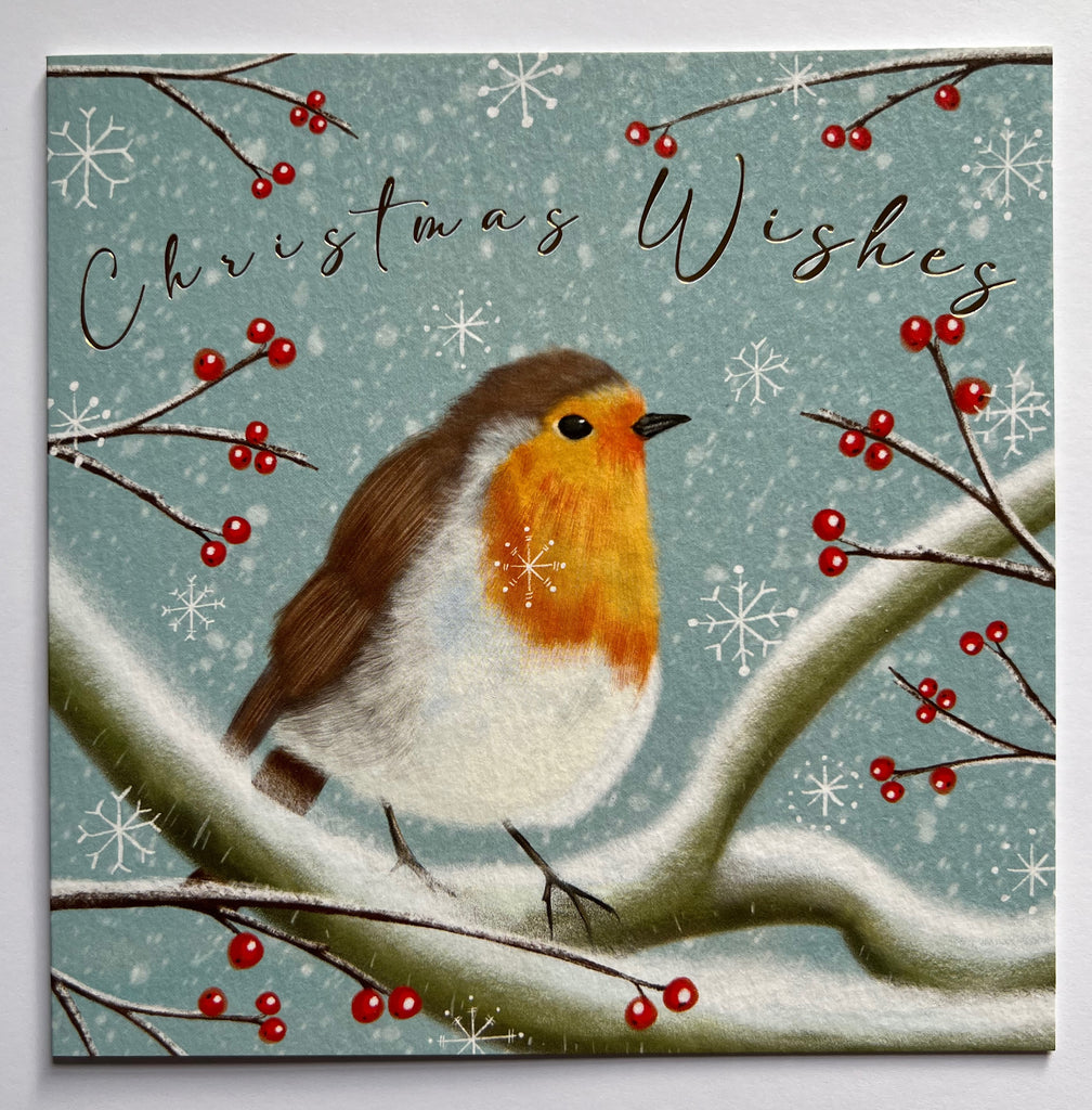 Christmas WIshes - Robin