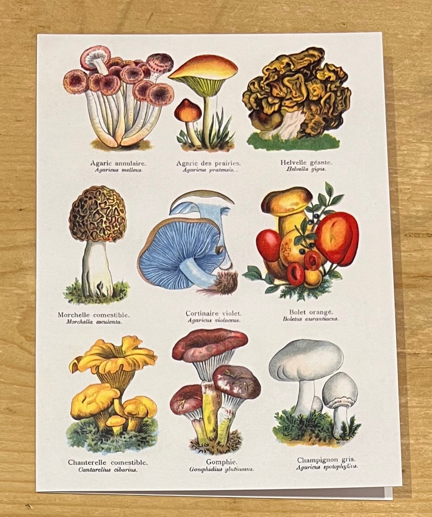 Mushrooms