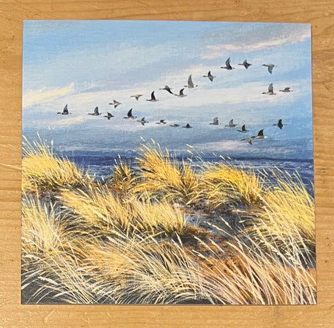 Wild Geese and Grasses