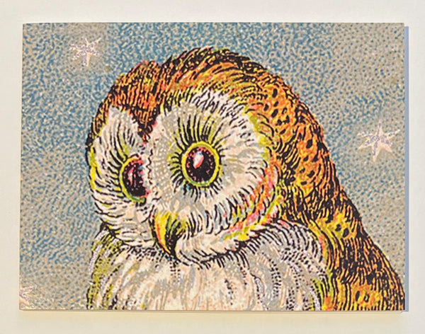 Owls