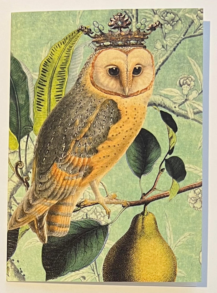 The Owl & the Pear