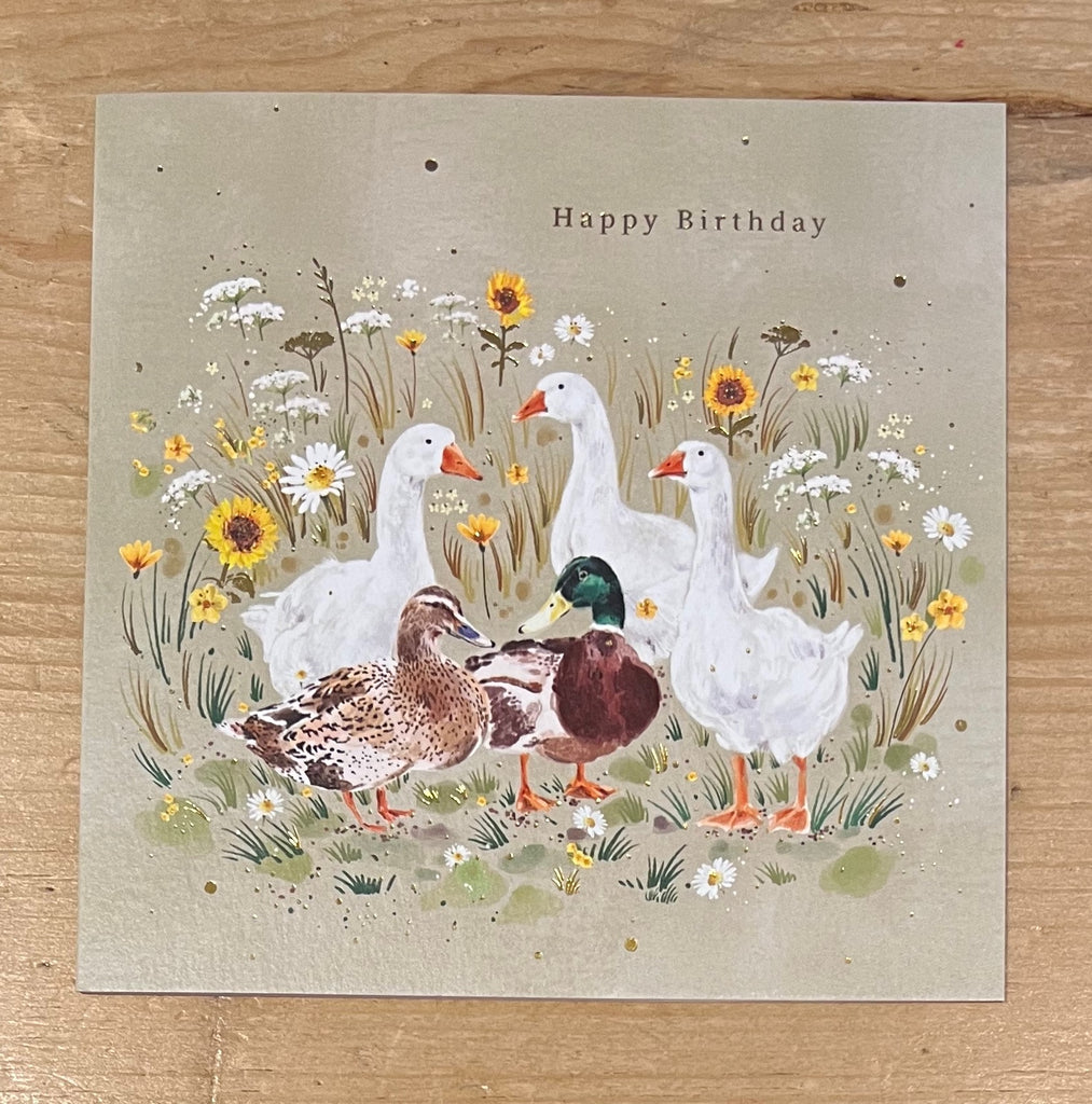 Ducks - Birthday