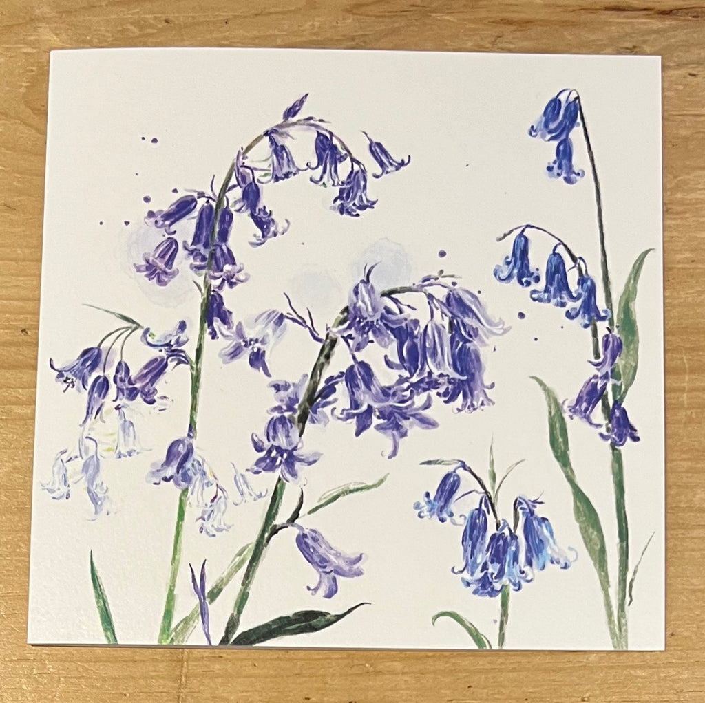 Bluebells
