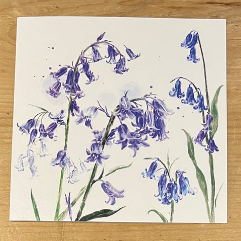 Bluebells
