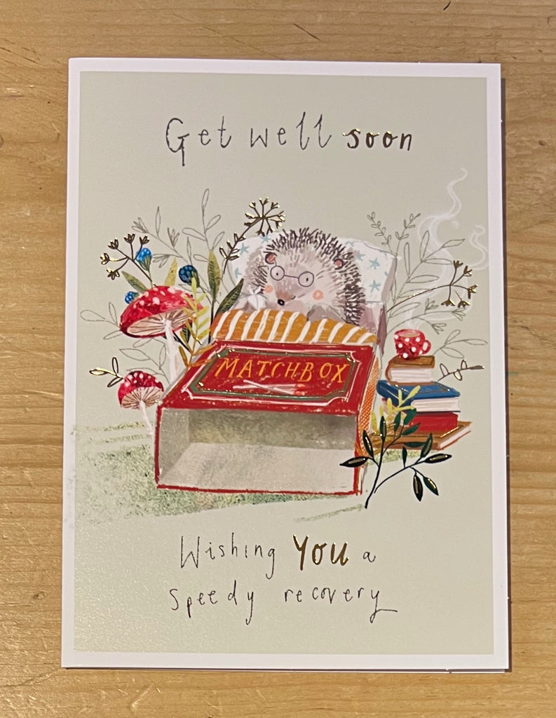 Get Well Soon - Hedgehog