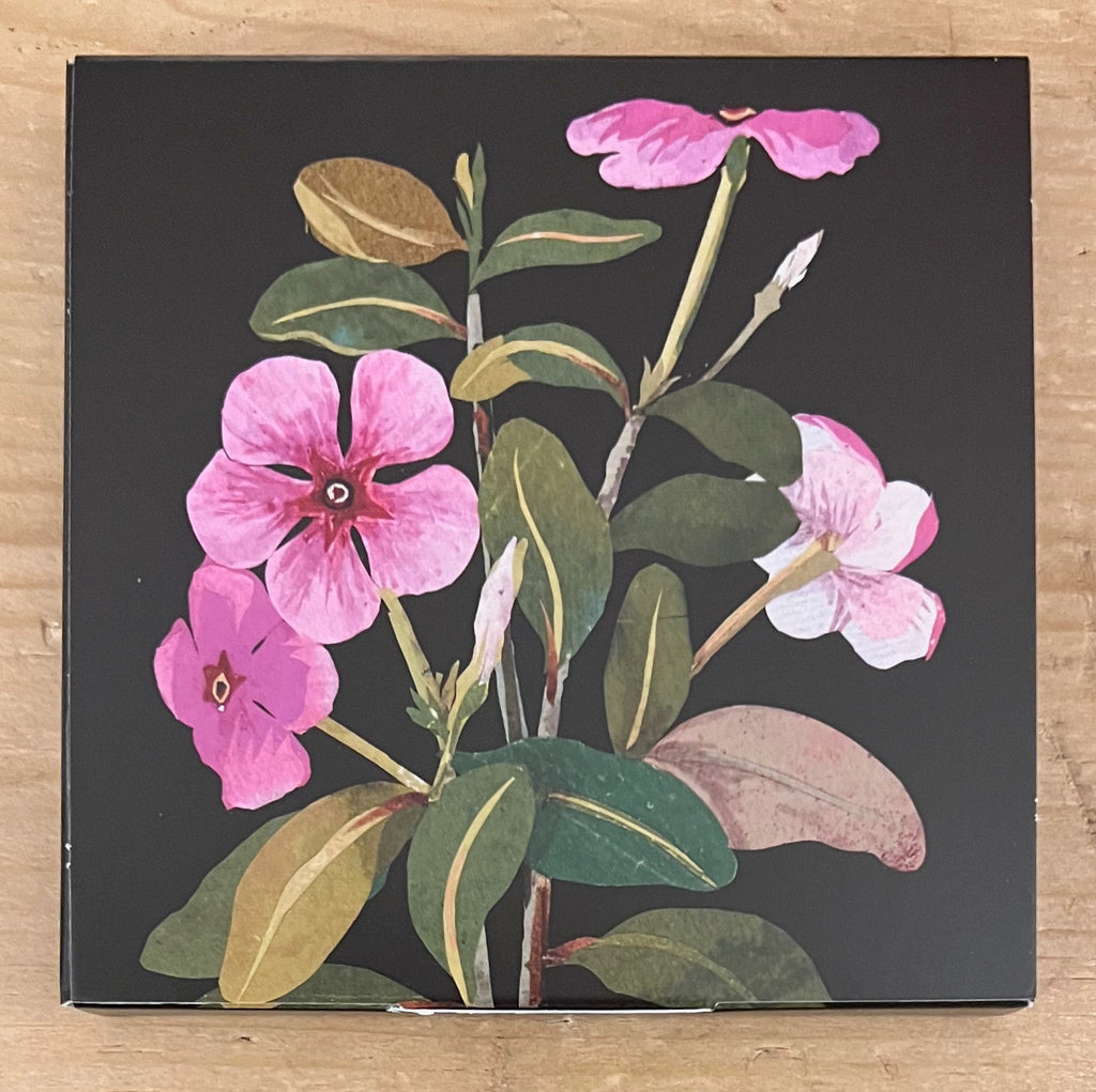 Vinca Rose - 8 Notecards