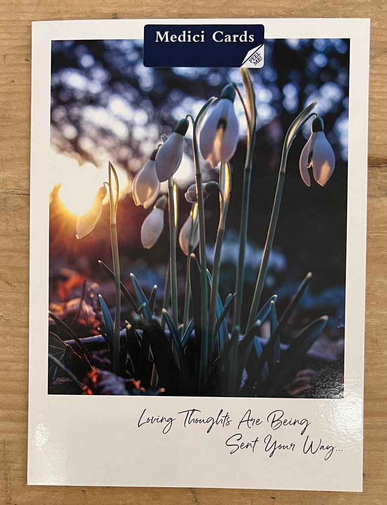 Loving Thoughts - Snowdrops