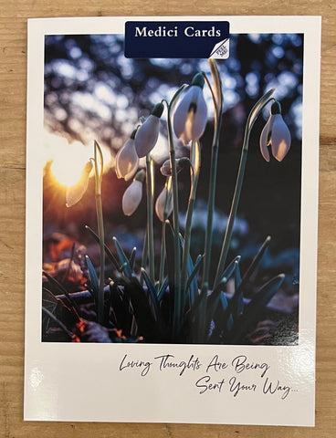 Loving Thoughts - Snowdrops