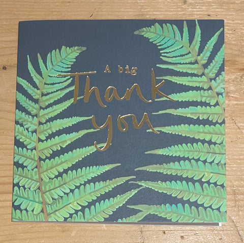 Thank You - Ferns