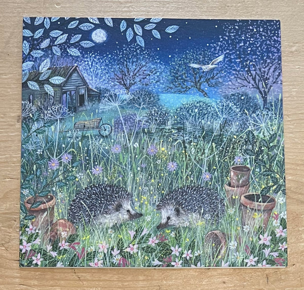 Hedgehogs