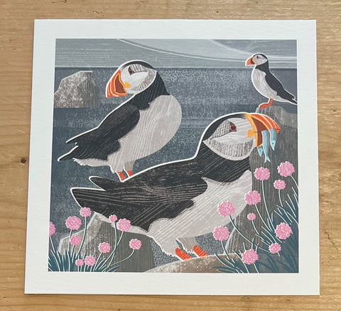 Puffins and Sea Thrift