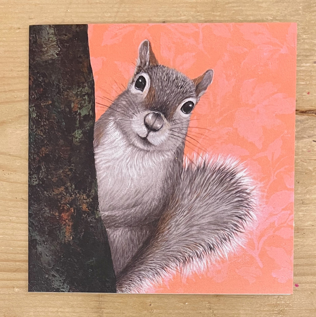 Grey Squirrel
