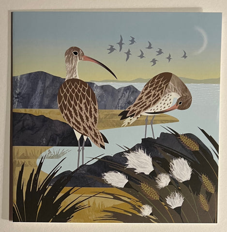 Curlews and Cotton Grass